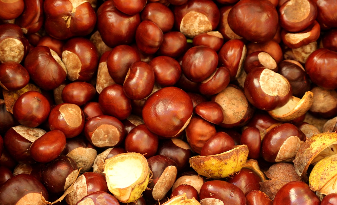 a pile of chestnuts sitting on top of each other, by Jan Rustem, hurufiyya, grain”, red and brown color scheme, chip 'n dale, high quality image”