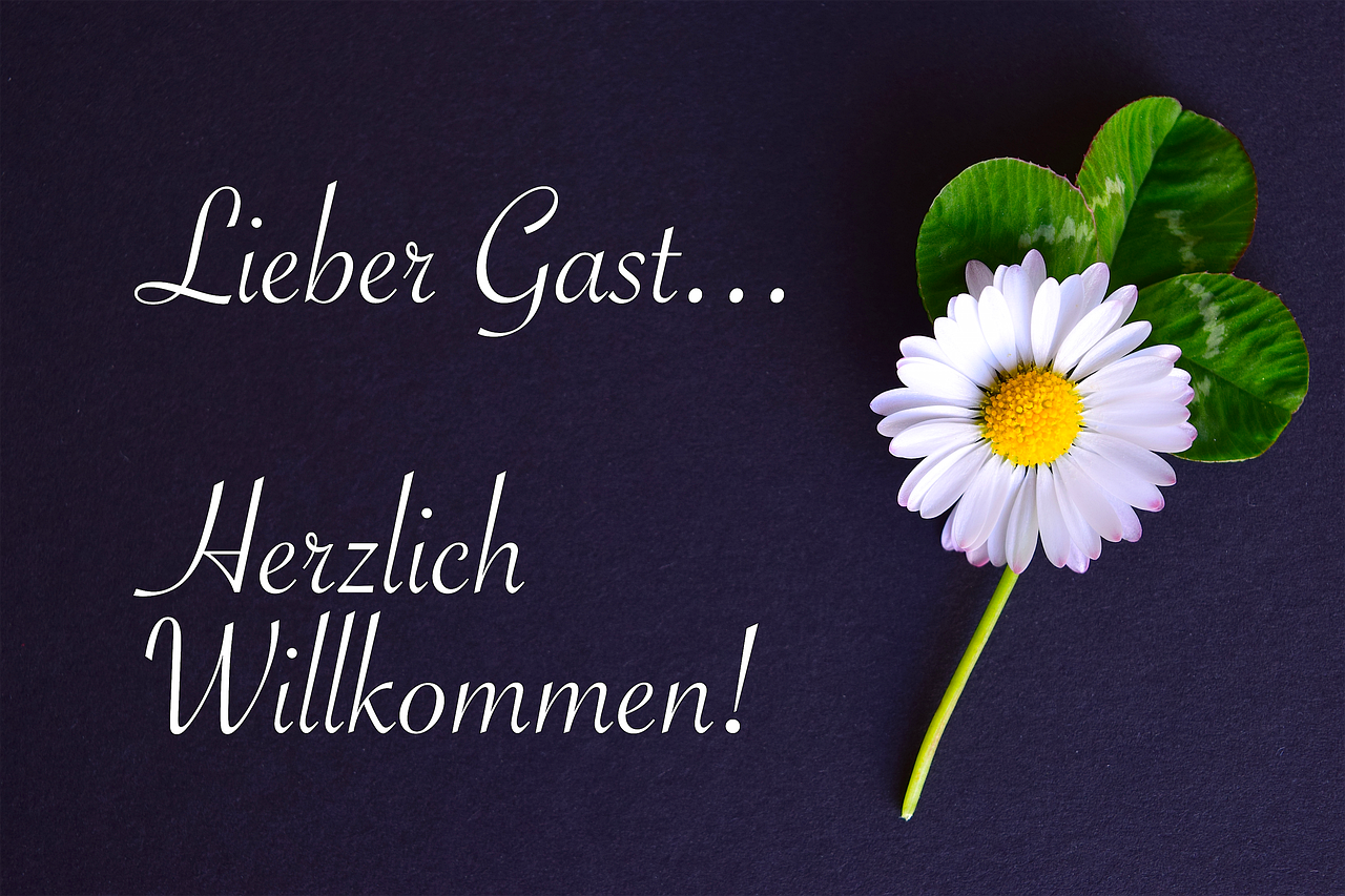a white flower sitting on top of a green leaf, a picture, by Werner Gutzeit, pixabay contest winner, arbeitsrat für kunst, with text, welcome, biedermeier, head made of giant daisies