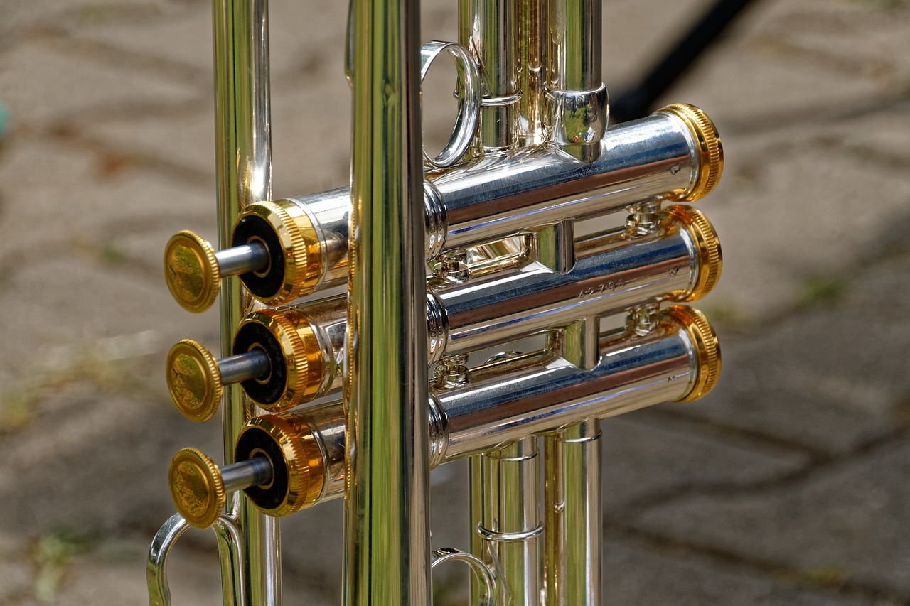 a close up of a silver and gold trumpet, by Erwin Bowien, flickr, [ [ hyperrealistic ] ], local close up, beautiful surroundings, side view of a gaunt