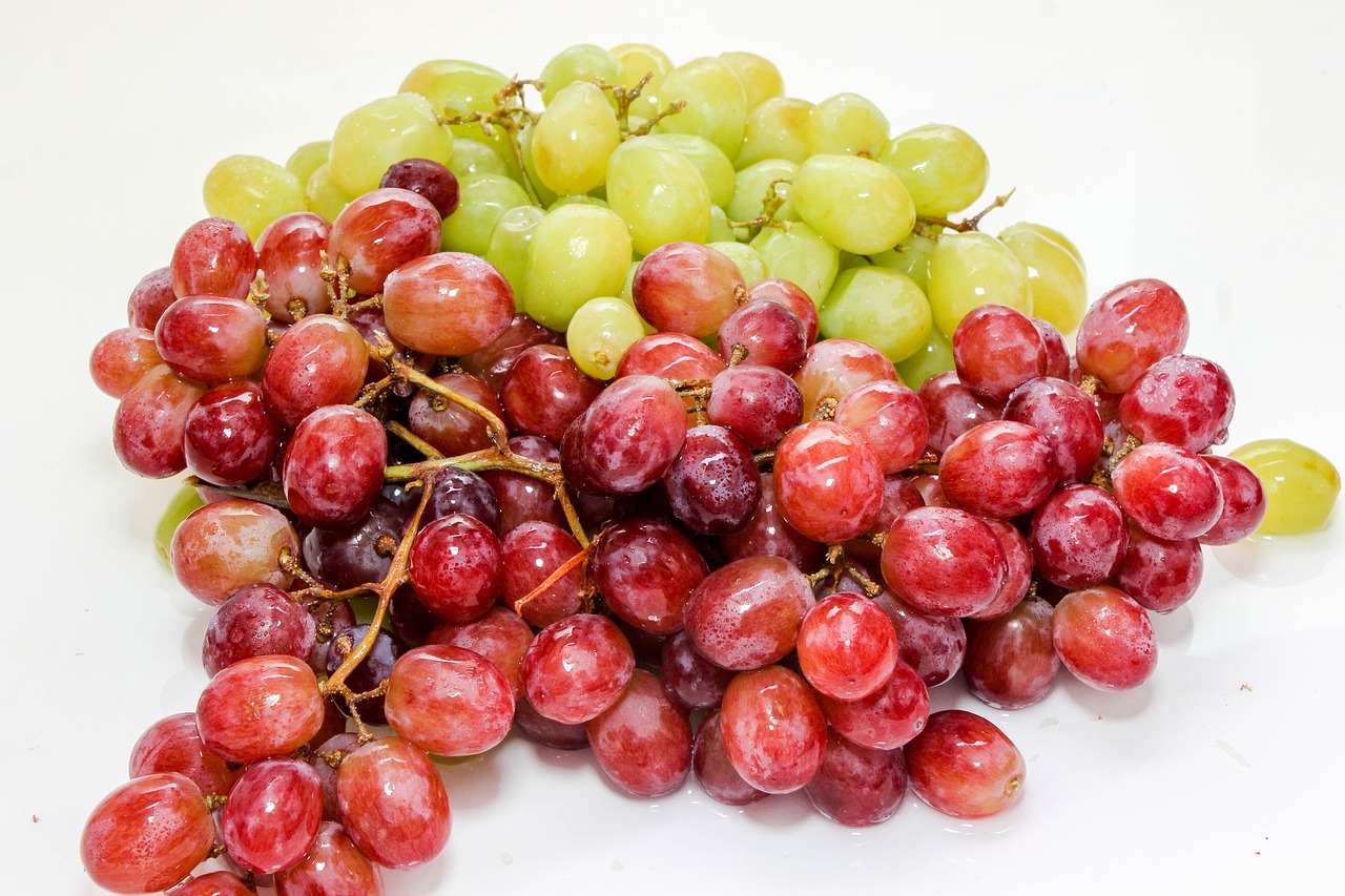 a pile of red and green grapes on a white surface, by Julian Hatton, dribble, purple and red, sandy green, islamic, large vines