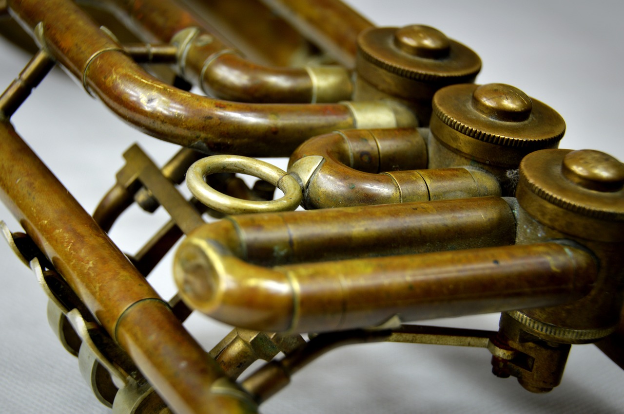 a close up of a trumpet on a table, a macro photograph, assemblage, many pipes, closeup photo, joyous trumpets, unknown technology