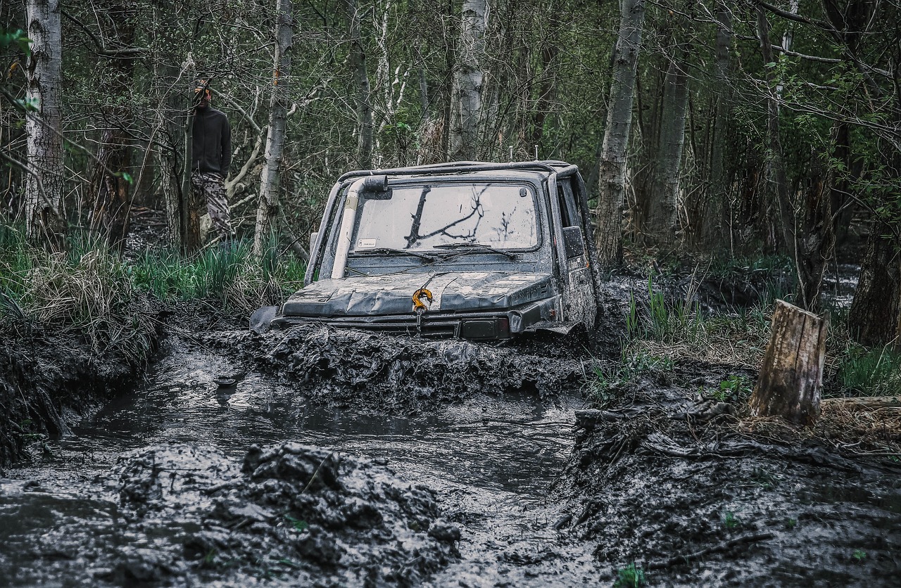 a truck that is sitting in the mud, a picture, by Richard Carline, woodland, gen z, wide shot!!!!!!, dripping tar