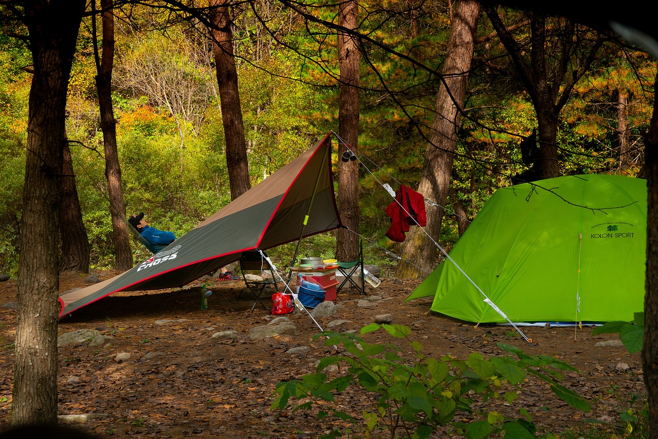 a green tent sitting in the middle of a forest, a picture, by Richard Carline, shutterstock, in karuizawa, vivid colors!!, tent camp in foreground, mid fall