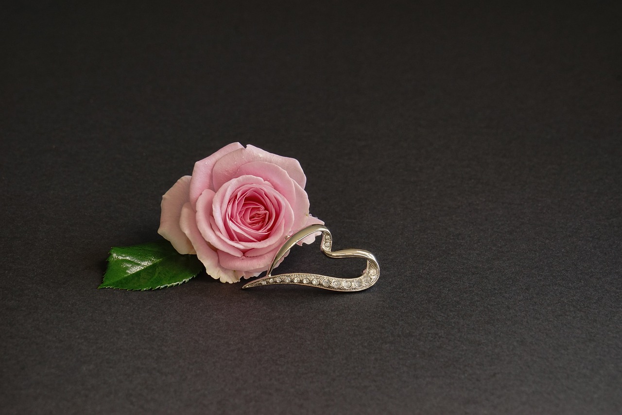 a pink rose sitting on top of a black surface, inspired by Annie Rose Laing, silver accessories, heart, miniature product photo, h.r. geiger
