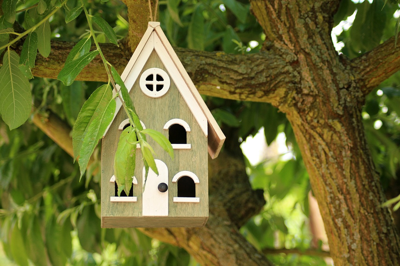 a bird house hanging from a tree branch, a photo, pixabay, arts and crafts movement, modern house made of tree, greenish tinge, retro stylised, small houses