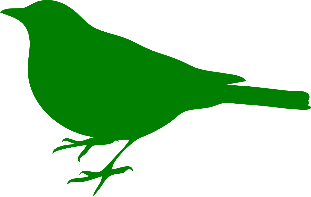 a green bird on a black background, a raytraced image, inspired by Masamitsu Ōta, pixabay, hurufiyya, silhouette :7, loosely cropped, it\'s name is greeny, clipart