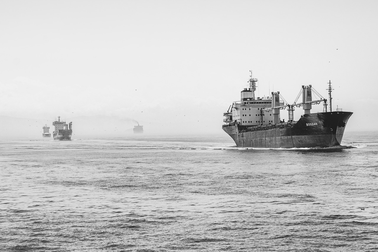 a black and white photo of two ships in the water, by Sven Erixson, pexels, figuration libre, utilitarian cargo ship, banner, california, high resolution photo