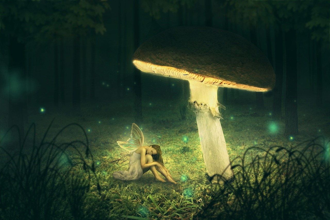 a fairy sitting under a mushroom in a forest, digital art, pixabay contest winner, beautiful soft light, sweet night ambient, ancient fairy dust, mushroom cap