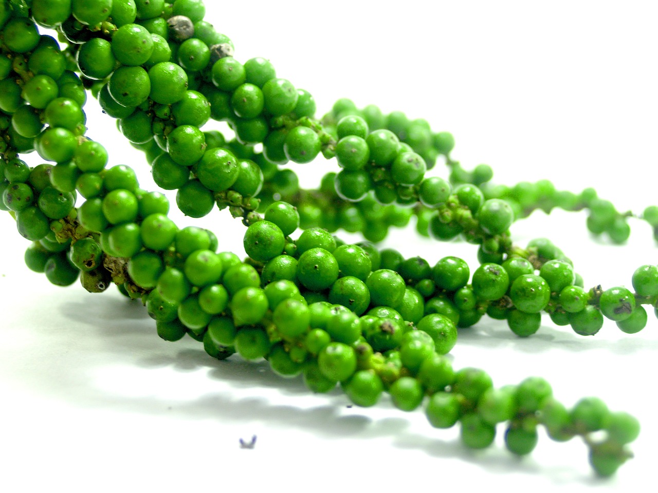 a bunch of green beads sitting on top of a white surface, by Robert Brackman, flickr, hurufiyya, vine covered, pepper, very crisp details, maui