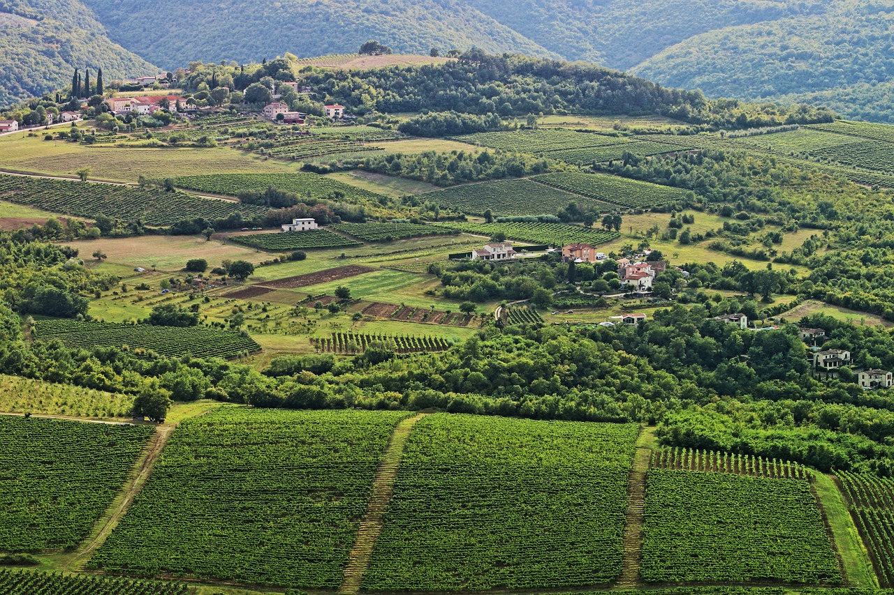 an aerial view of a lush green valley, a photo, inspired by Mirko Rački, shutterstock, naive art, wine, laura sava, villages, vertical orientation