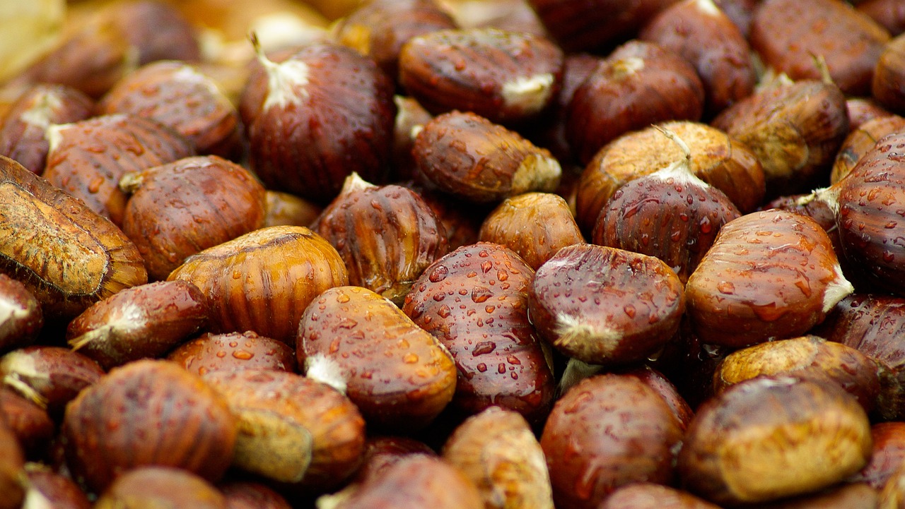 a pile of nuts sitting on top of a table, a macro photograph, by David Simpson, hurufiyya, chestnut hair, autumn rain turkel, glazed, eyes!