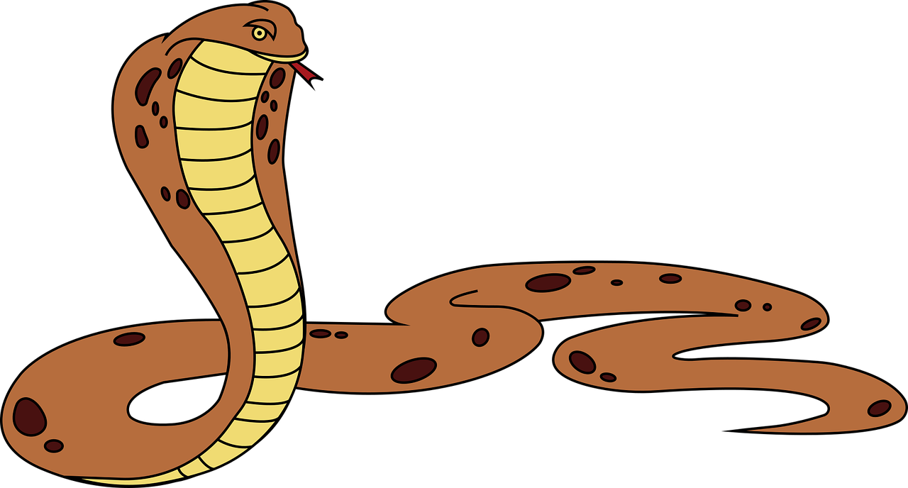 a close up of a snake on a black background, an illustration of, by Andrei Kolkoutine, pixabay, cobra, cartoon style illustration, wide long shot, worm brown theme, full color illustration