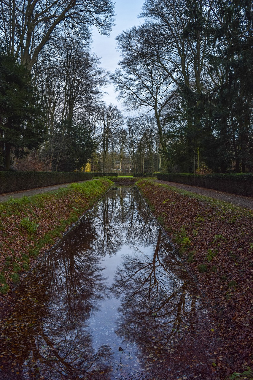 a puddle of water sitting on the side of a road, inspired by Meindert Hobbema, botanic garden, 2 4 mm iso 8 0 0, symmetry!!!, hideen village in the forest