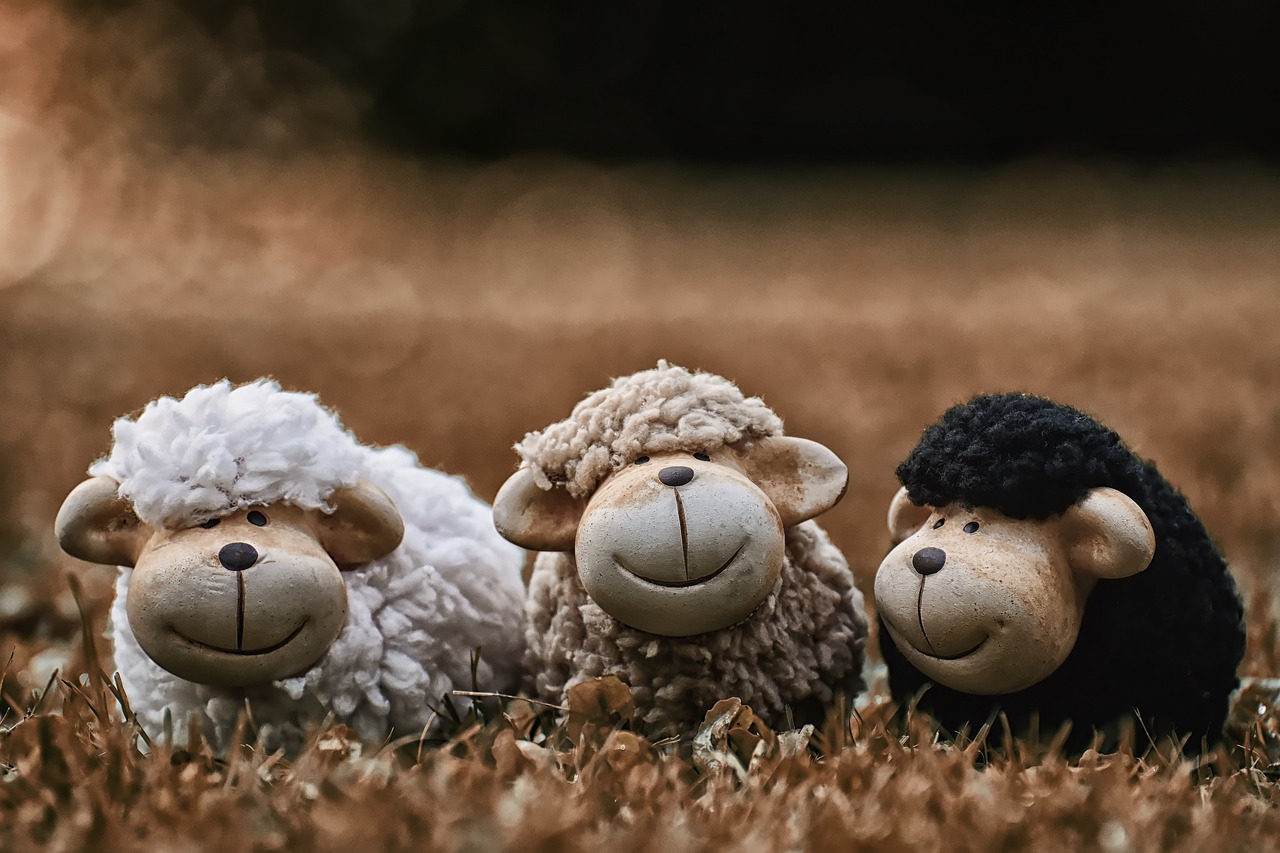 three stuffed sheep sitting next to each other in a field, a macro photograph, by Adam Marczyński, trending on pixabay, digital art, islamic, warm smile, in claymation, sleepers