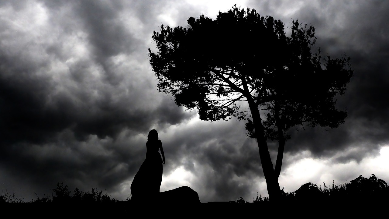 a person standing next to a tree under a cloudy sky, a black and white photo, inspired by Tom Chambers, pixabay, romanticism, gothic maiden of the dark, evening storm, on a hill, david febland