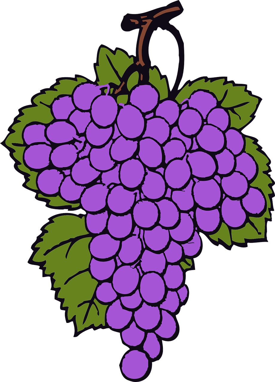 a bunch of purple grapes with green leaves, a digital rendering, inspired by Masamitsu Ōta, sōsaku hanga, black light, cartoon image, colored lineart, full res