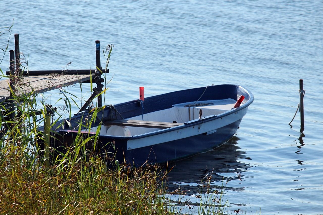 a blue and white boat sitting on top of a lake, a photo, by Werner Gutzeit, pixabay, small reeds behind lake, fishing pole, stock photo, high res photo