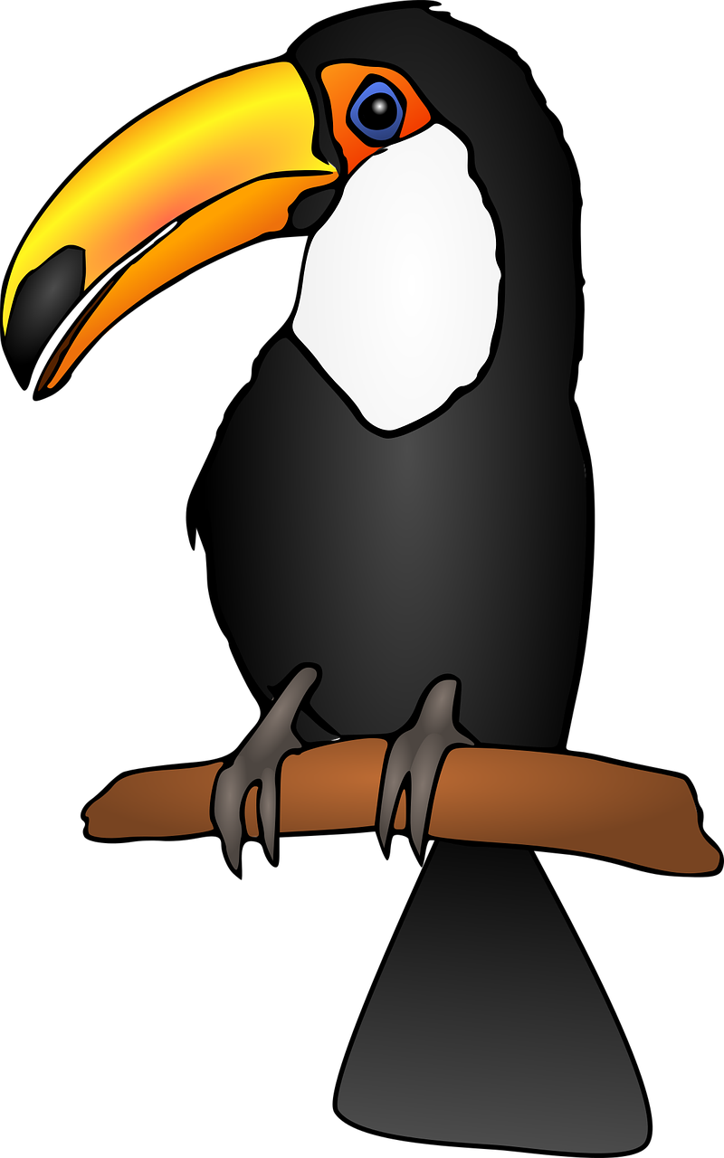 a black and white toucan sitting on a branch, an illustration of, inspired by Charles Bird King, pixabay, black backround. inkscape, fully colored, !!! very coherent!!! vector art, loosely cropped