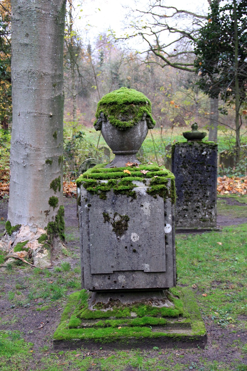 a stone statue with moss growing on top of it, by Viktor de Jeney, vanitas, forest with trees with faces, french garden, sleek head, patches of moss