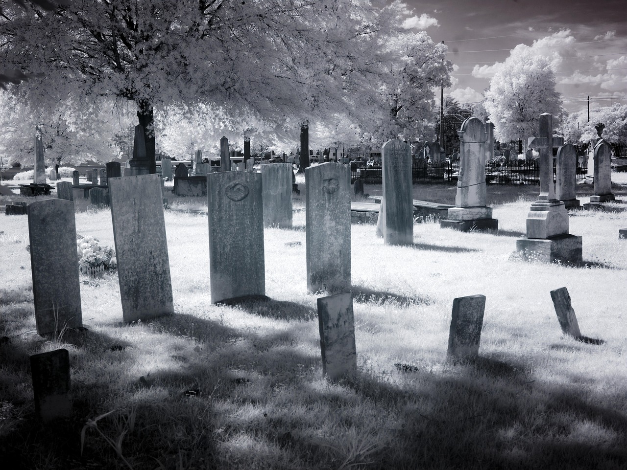 a black and white photo of a cemetery, a black and white photo, inspired by Edgar Schofield Baum, flickr, infrared, denoised, 2 0 1 0 photo, grim yet sparkling atmosphere