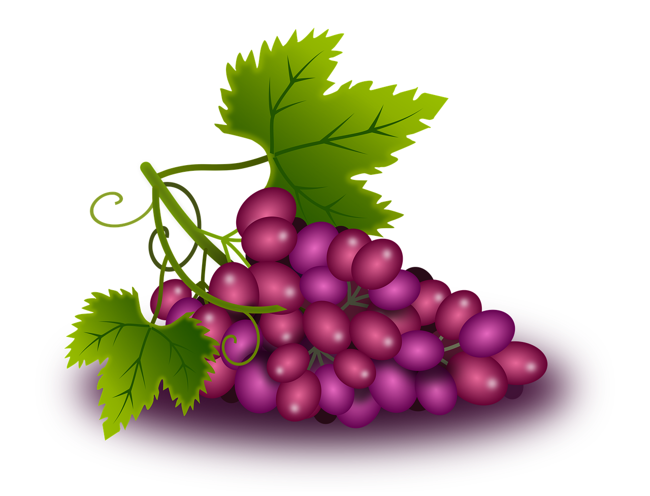 a plate with a bunch of grapes on it, a digital rendering, by Ayako Rokkaku, trending on pixabay, art nouveau, purple and red colors, with a black background, from side, fruit celebrity