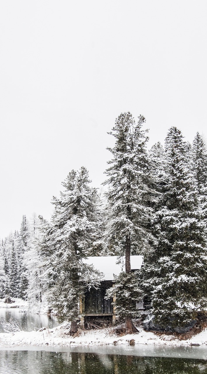 a cabin sitting in the middle of a snow covered forest, inspired by Ansel Adams, pexels, background white, montana, istock, panorama