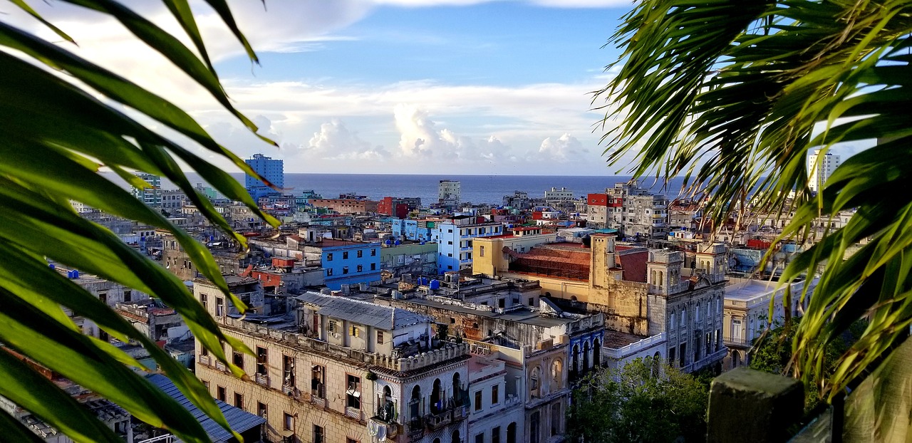 a view of a city from the top of a building, flickr, cuban setting, 🪔 🎨;🌞🌄, lush paradise, square