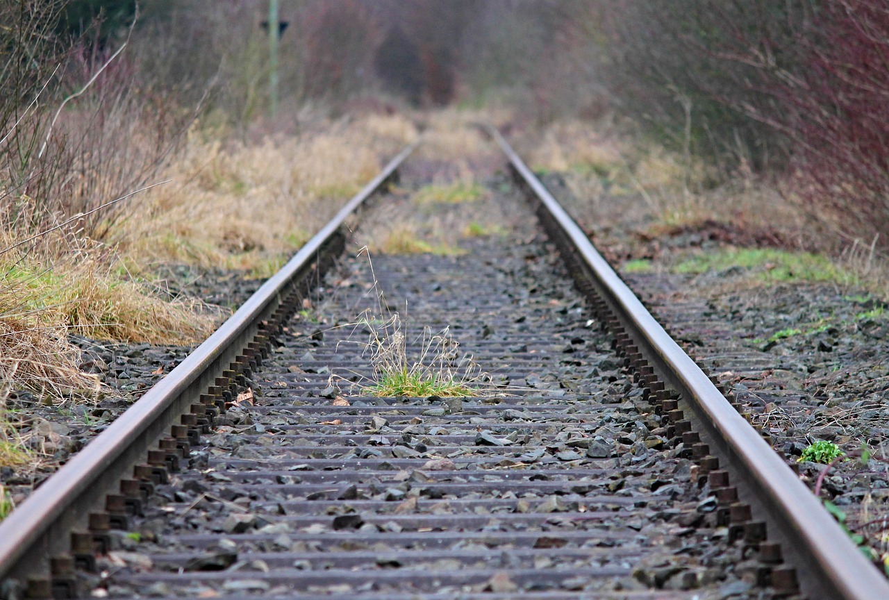 a close up of a train track with trees in the background, a picture, by Christen Dalsgaard, pixabay, stock photo, run down, one single continues line, thin straight lines