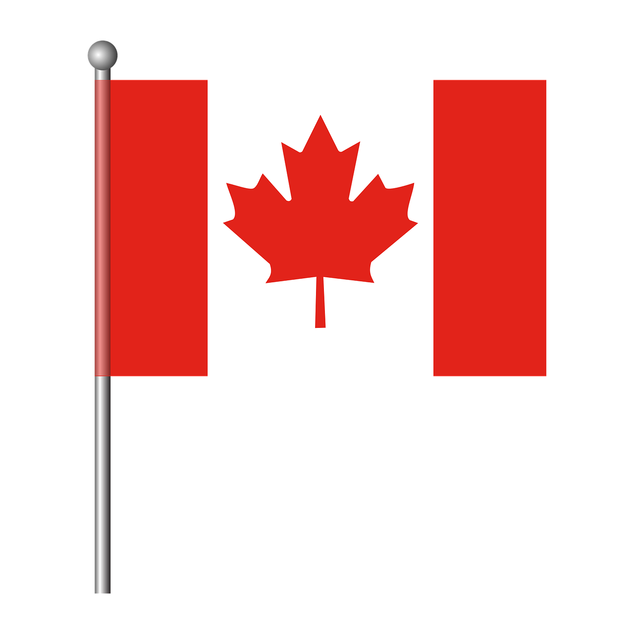 a canadian flag on a pole on a black background, an illustration of, hurufiyya, an illustration, handheld, illustration, accurate depiction