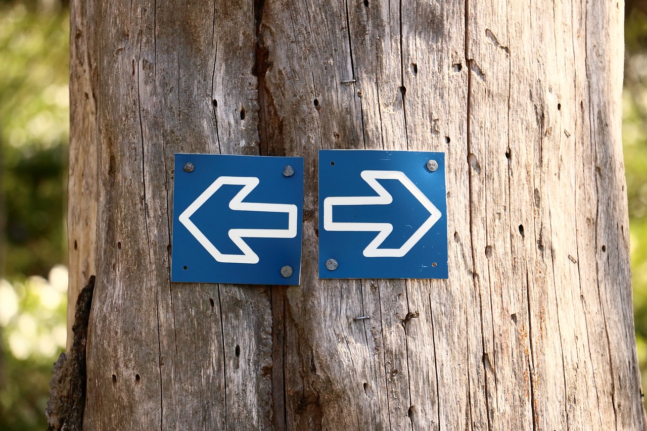 a close up of two blue signs on a tree, a photo, unsplash, folk art, metallic arrows, floor, left right front back, ceramic