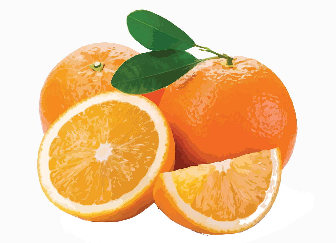 a group of oranges sitting next to each other, an illustration of, photorealism, illustrator vector graphics, illustration]