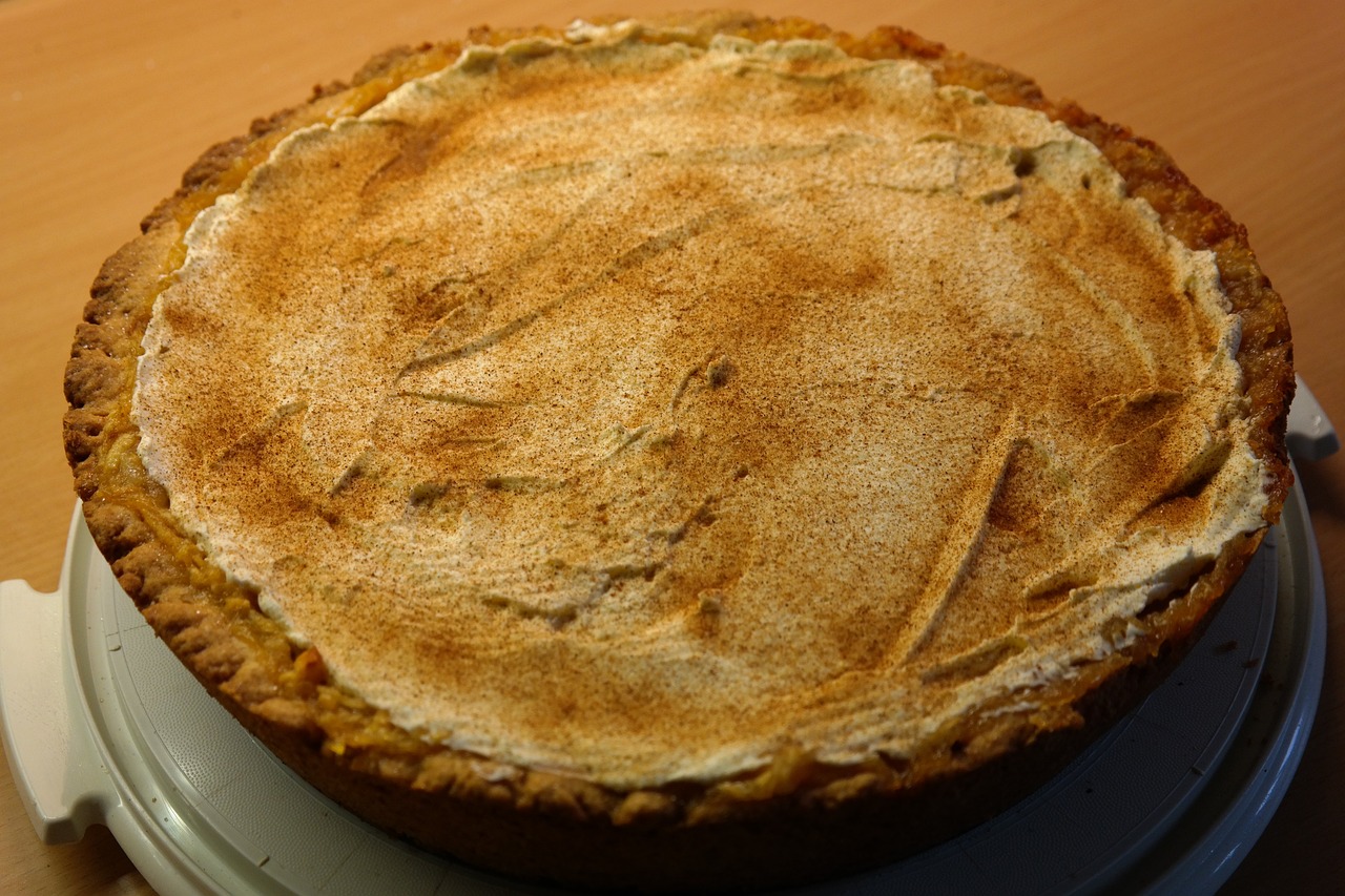 a pie sitting on top of a white plate, inspired by Władysław Podkowiński, cinnamon, sandy, menacing!, base