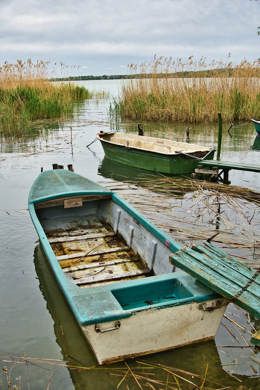 a couple of boats that are sitting in the water, by Ferenc Joachim, shutterstock, reeds, deteriorated, a green, old furniture