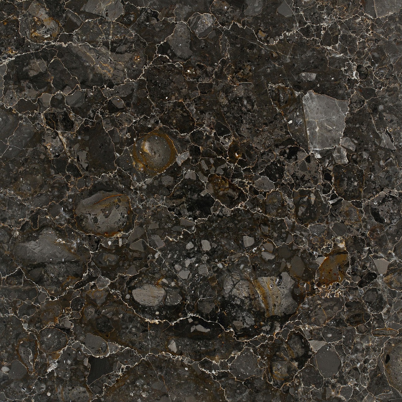 a close up of a black marble surface, inspired by Andrea Pozzo, polycount, baroque, productphoto, brown, terrazzo, high quality product photo