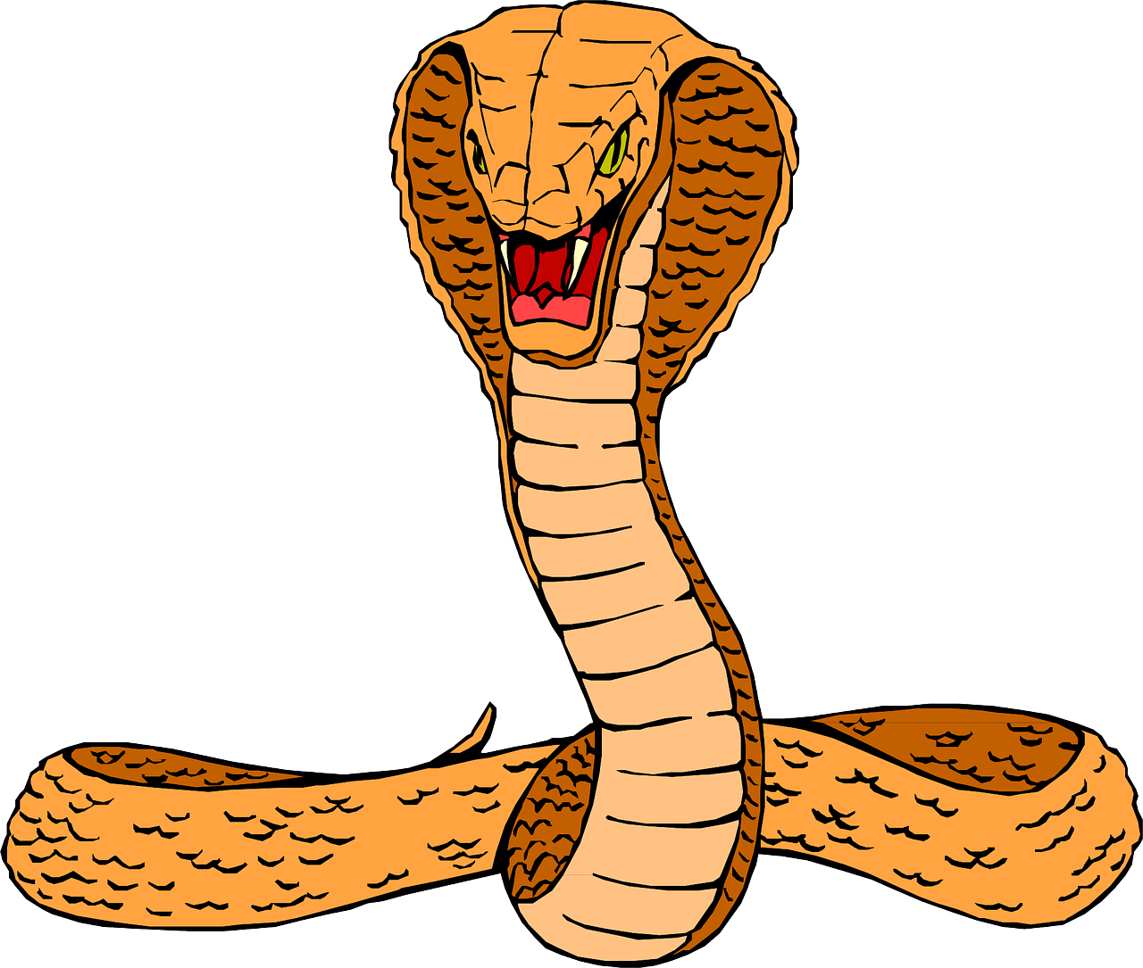 a close up of a snake on a white background, an illustration of, cobra, illustration], an angry expression, coloured, pillar