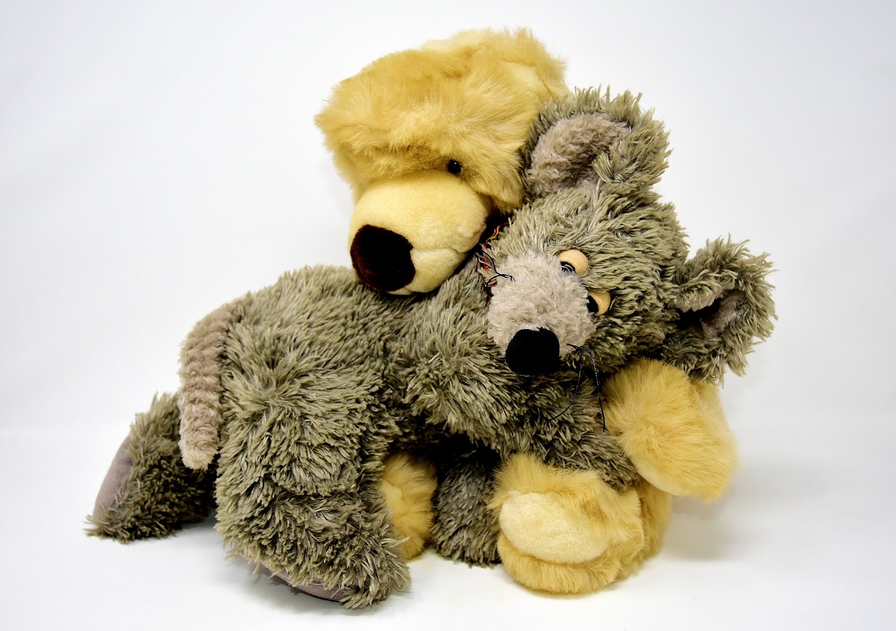 a couple of stuffed animals sitting next to each other, a picture, by Anita Kunz, pixabay, wolf companion, hugs, age 2 0, bottom angle