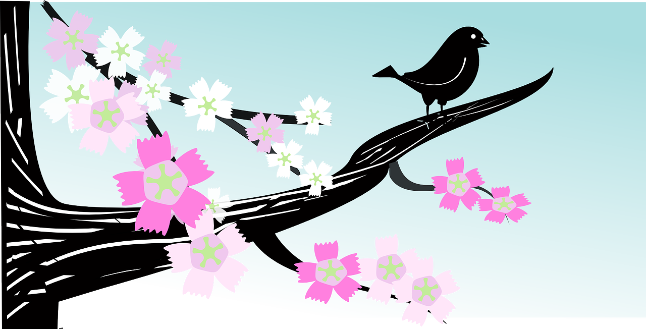 a bird sitting on top of a branch of a tree, an illustration of, inspired by Masamitsu Ōta, trending on pixabay, sakura flower, black and cyan color scheme, istockphoto, card