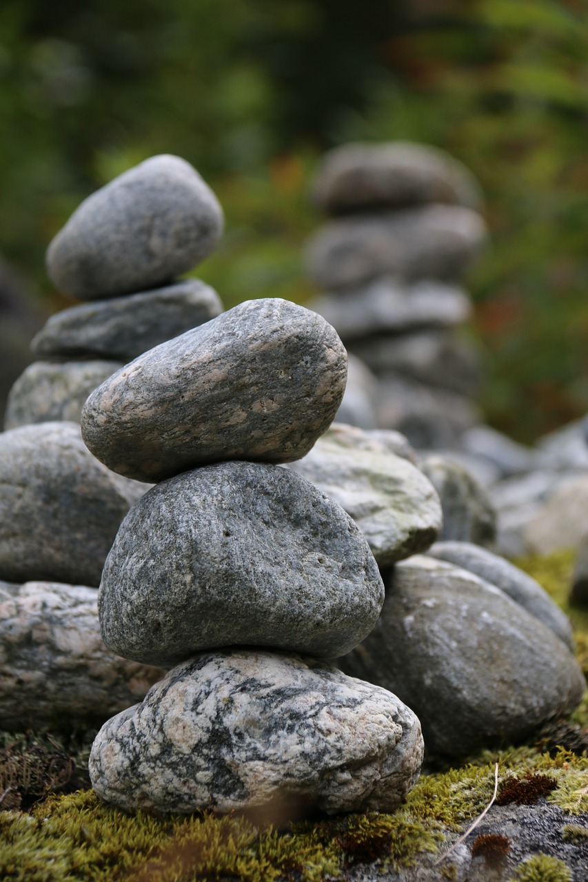 a pile of rocks sitting on top of a moss covered ground, inspired by Andy Goldsworthy, istockphoto, totem pole, bridge, close up photo