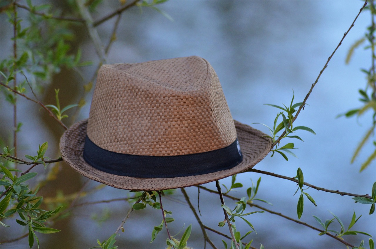 a straw hat sitting on top of a tree branch, profile picture, brown, up close picture, small hat