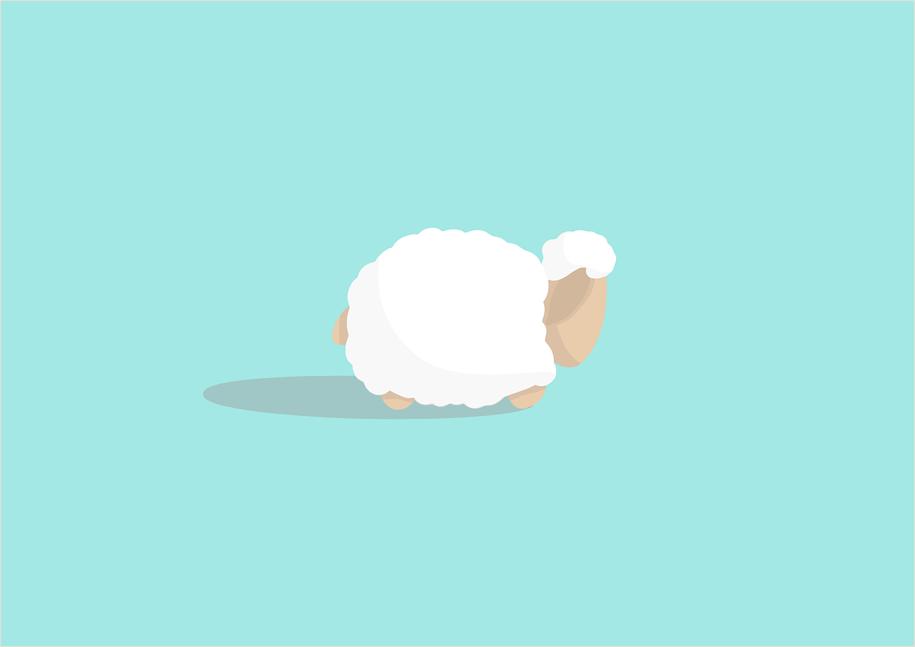 a white sheep standing on top of a blue ground, an illustration of, minimalism, lazy, crawling on the ground, clean design, fluffy body