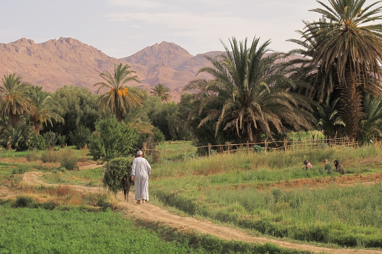a man walking down a dirt road next to palm trees, les nabis, an arab standing watching over, patches of green fields, gardening, high res