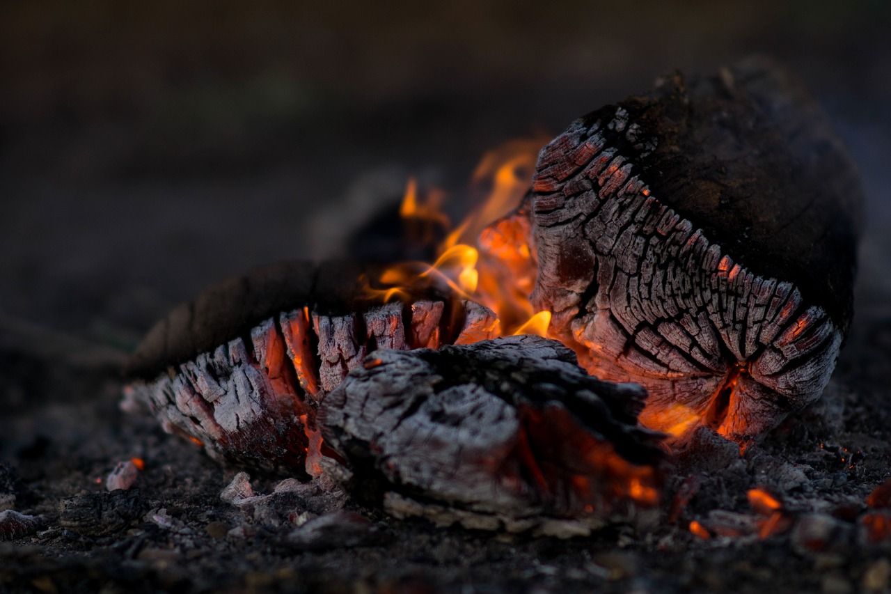 a pile of wood sitting on top of a fire, a picture, by Alexander Fedosav, shutterstock, fine art, background of a lava river, dark warm light, background image, ashes