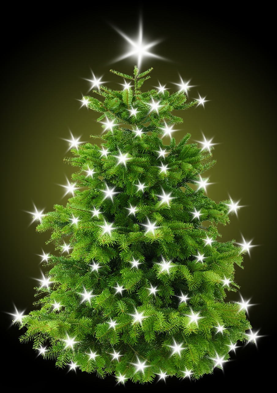 a christmas tree with white stars on it, a picture, by Stefan Gierowski, pixabay, with photorealistic lighting, glowing green, iphone background, very high detail