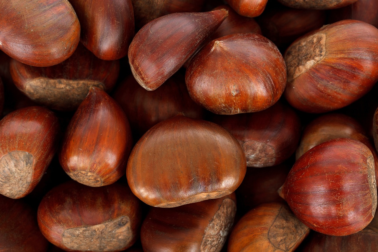 a pile of chestnuts sitting on top of a wooden table, a macro photograph, by Yasushi Sugiyama, trending on pixabay, hurufiyya, wallpaper”, high detail product photo, oscar niemeyer, wallpaper - 1 0 2 4
