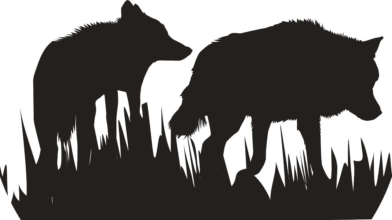 a couple of animals that are standing in the grass, an illustration of, by Caspar Wolf, shutterstock, conceptual art, black silhouette, hellhounds, line vector art, high-contrast