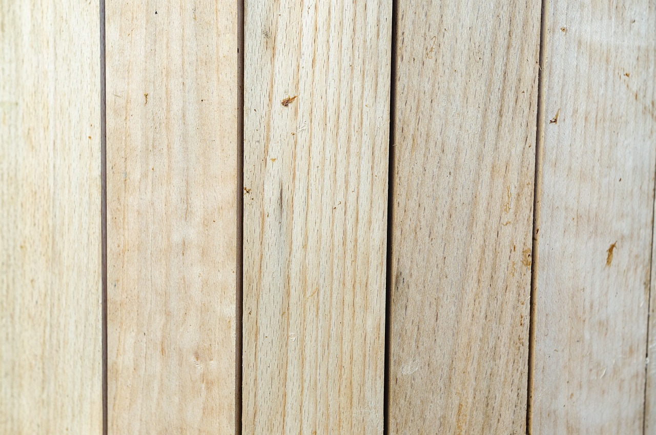 a close up of a piece of wood, a stock photo, by Richard Carline, shutterstock, trio, light wood, shot on 1 6 mm, bangalore