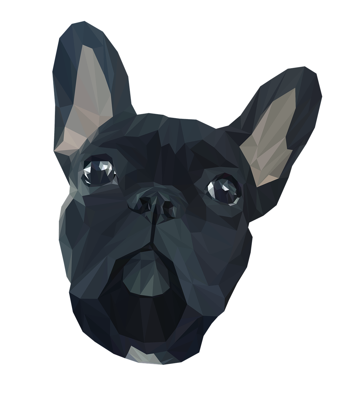 a close up of a dog's face on a black background, vector art, shutterstock, generative art, low polygons illustration, french bulldog, low poly 3d model, gouache
