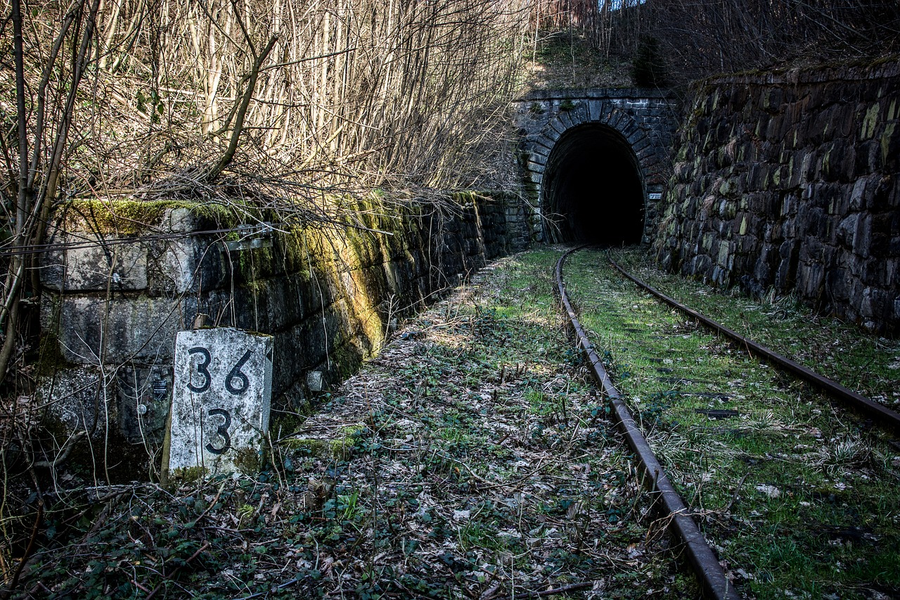 a close up of a train track near a tunnel, a portrait, by Thomas Häfner, flickr, old cemetery, stone gate to the dark cave, eight eight eight, 3 0 s