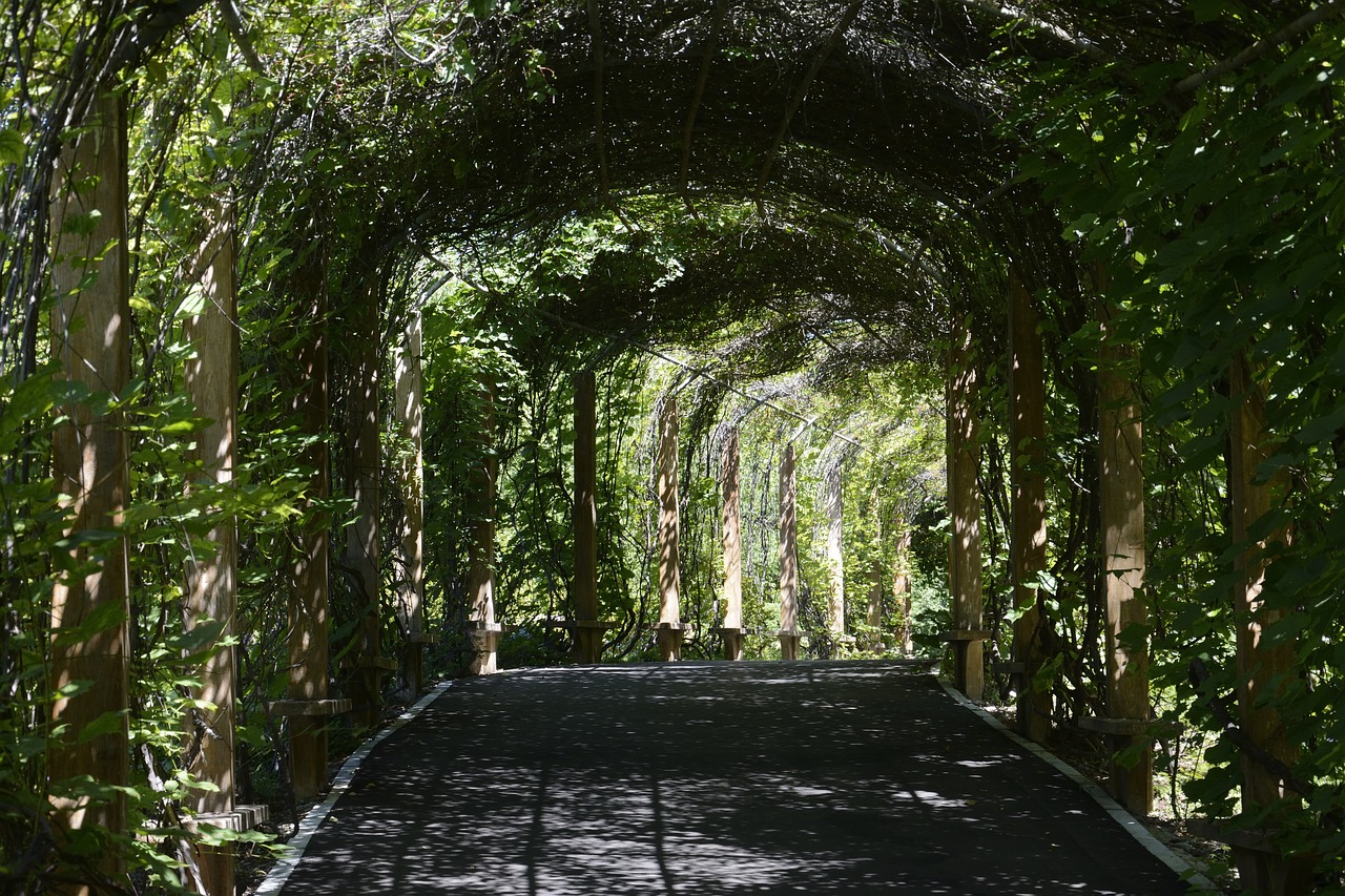 a walkway in the middle of a lush green forest, inspired by Eva Gonzalès, visual art, lots of roman arches, driveway, with black vines, dubai