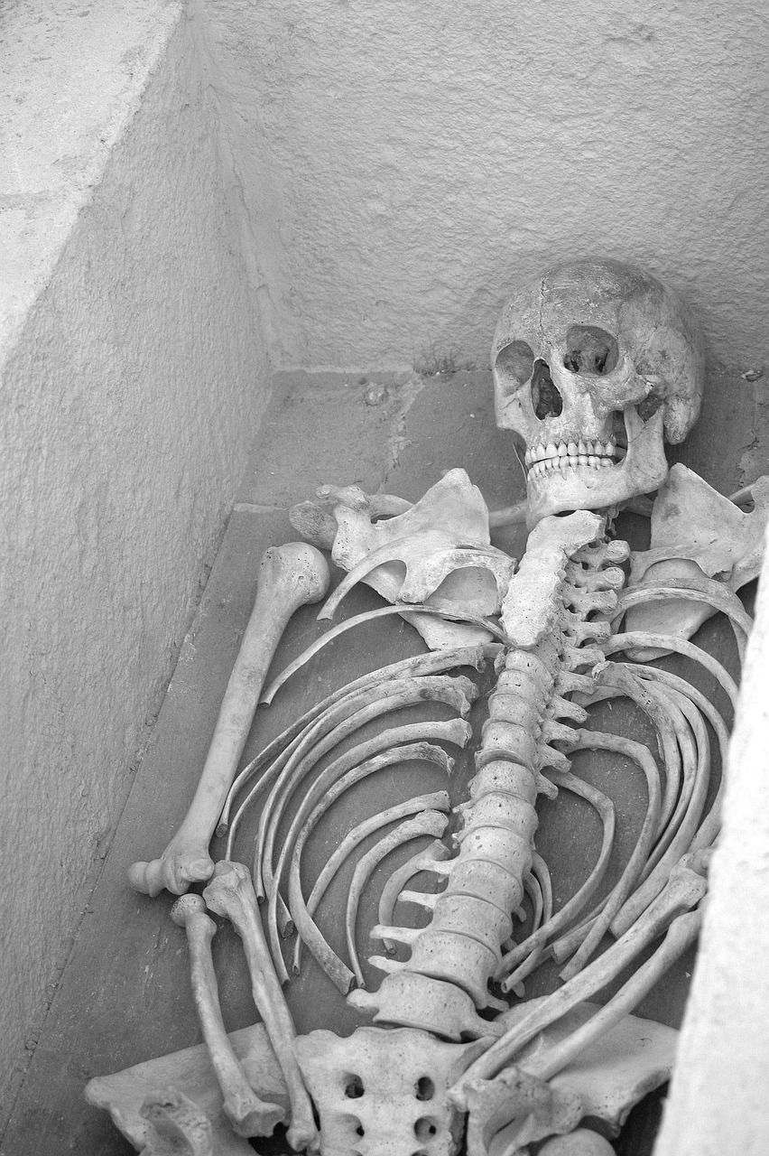 a black and white photo of a skeleton in a box, by Alexander Fedosav, flickr, inside a tomb, [ realistic photo ]!!, high cheek bones, romantic